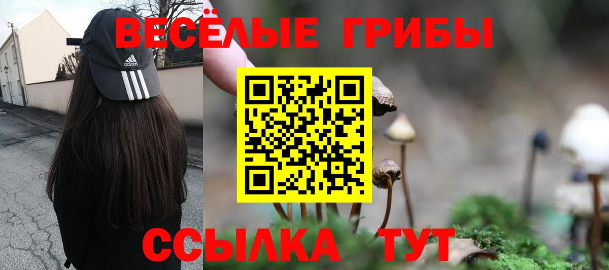 Псилоцибиновые грибы GOLDEN TEACHER  Псилоцибиновые грибы MAGIC MUSHROOMS  Пенза  где купить   Вход с VPN 