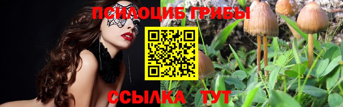 Псилоцибиновые грибы мухоморы Пенза